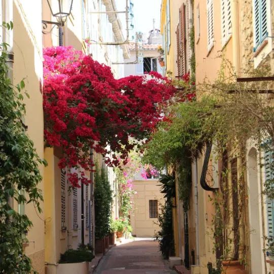 Chambres d'Hôtes B&B Bessy 10_Antibes