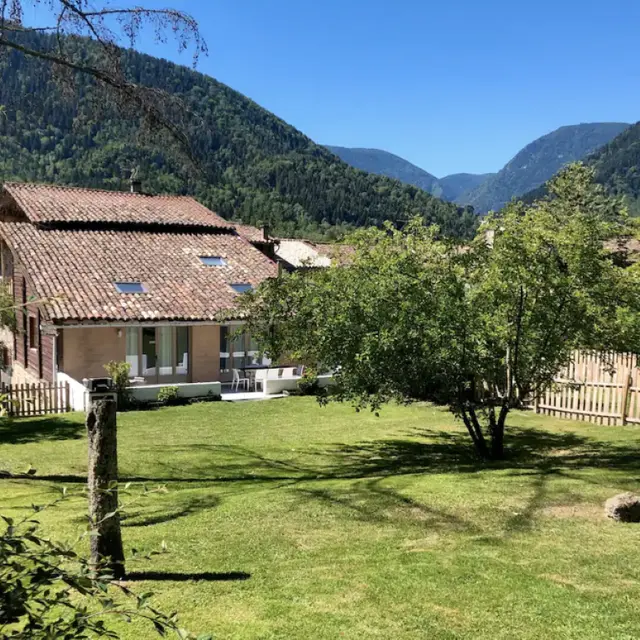 La maison sous le figuier