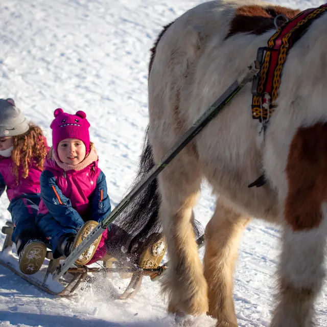 Poney Luge à Notre Dame de Bellecombe