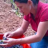 Microcosmos Marseille