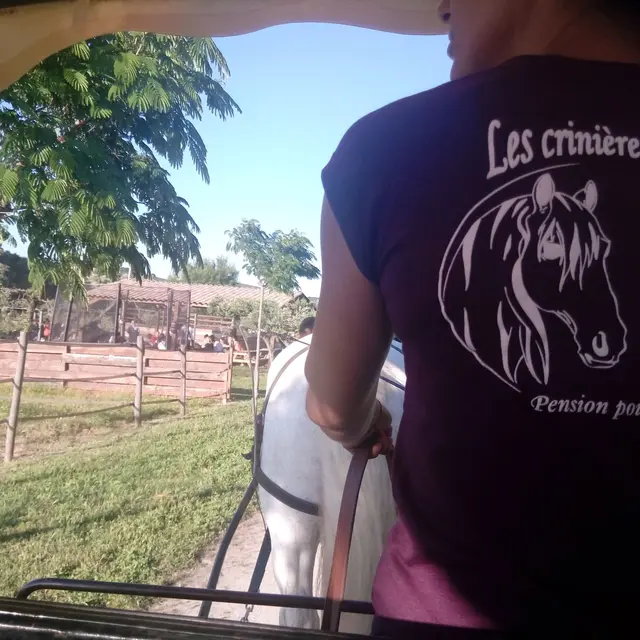 Balades en calèche_Martigues