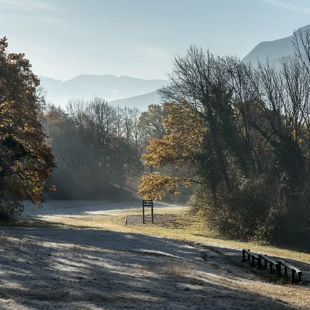 Forêt des Monts