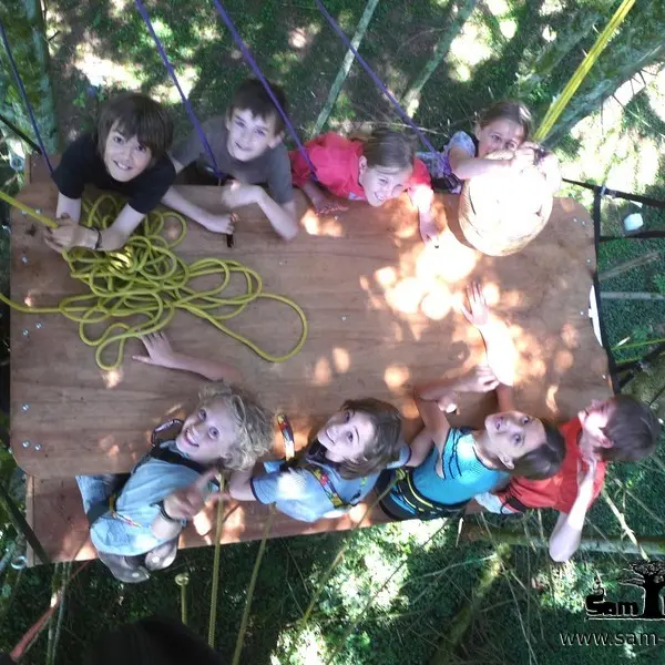Sam Branche Goûter dans les arbres