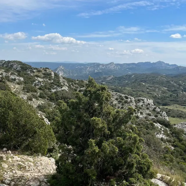 Les crêtes de Saint-Rémy-de-Provence_Saint-Rémy-de-Provence
