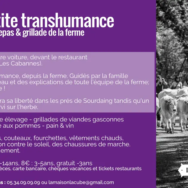 Petite transhumance_Les Cabannes