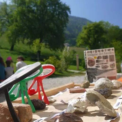 Anniversaire nature : Atelier du géologue_Présilly