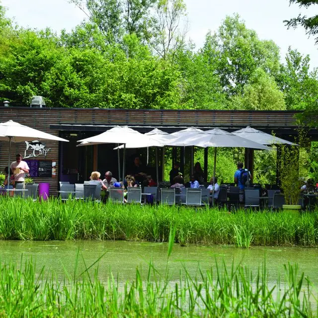 Restaurant La Réserve du Parc des Oiseaux à Villars-les-Dombes