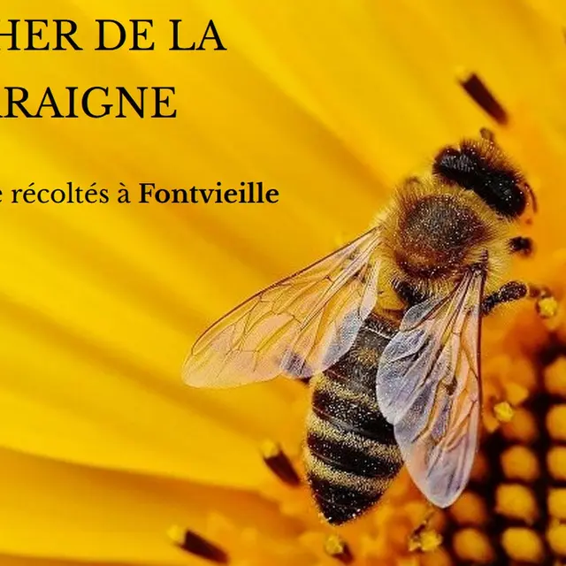 Le Rucher de la Musaraigne_Fontvieille