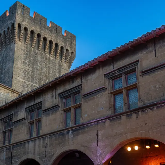 Un Château dans les Vignes_Salon-de-Provence