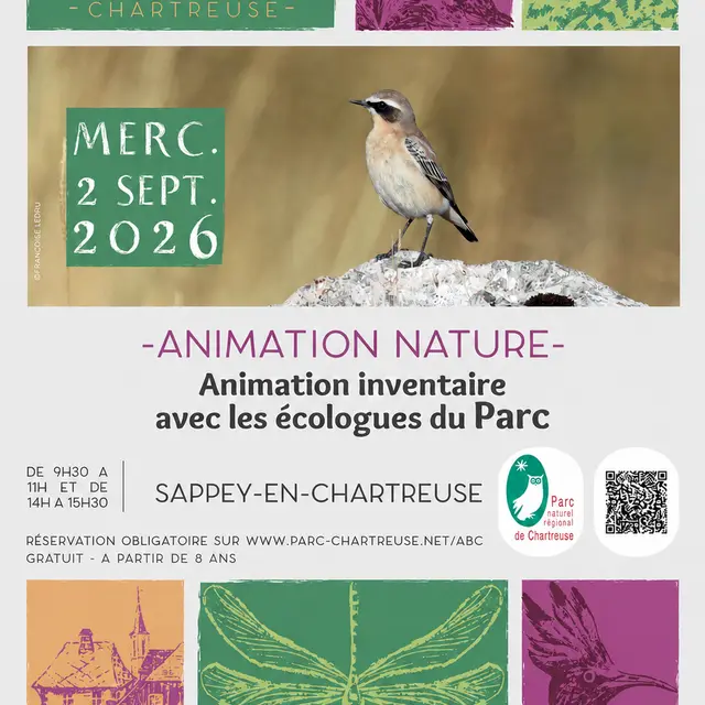 affiche animation
