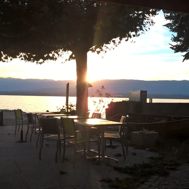 Côté Lac, Chens sur Léman