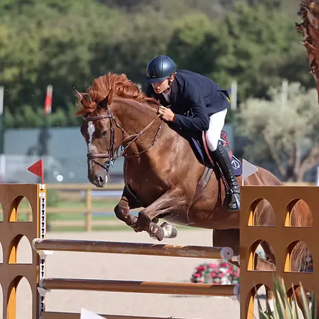 Concours de sauts international - Jumpping de mars_Gassin