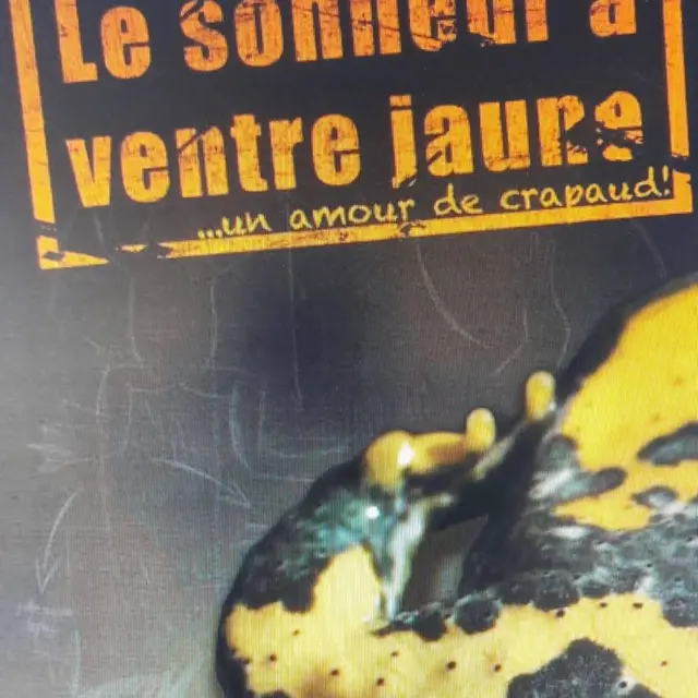 expo sonneur