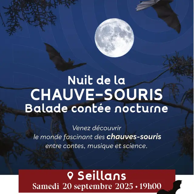 Nuit de la chauve-souris, balade contée nocturne à Seillans_Saint-Paul-en-Forêt