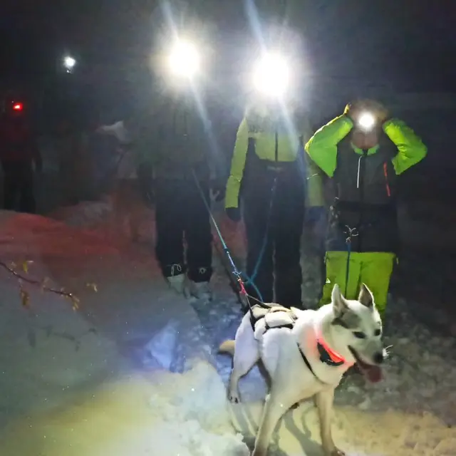 Petit aventurier spécial noël