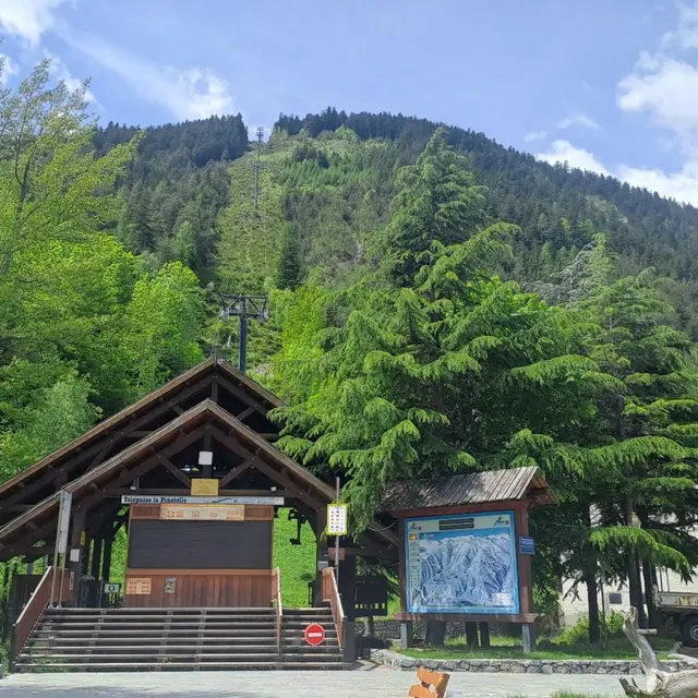 La forêt et le Télécabine de la Pinatelle_Saint-Étienne-de-Tinée