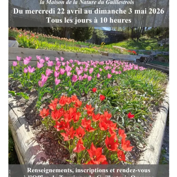 Visite du jardin des tulipes_Guillestre