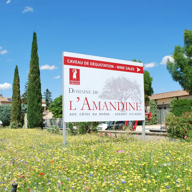 Visite de la cave - Domaine de l'Amandine_Séguret