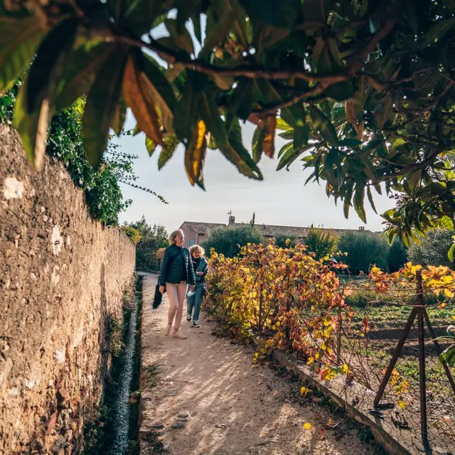 Balade gourmande à Ollioules_Ollioules