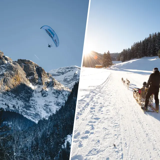 Parapente & Chiens de traîneau/Cani-Kart_Champéry