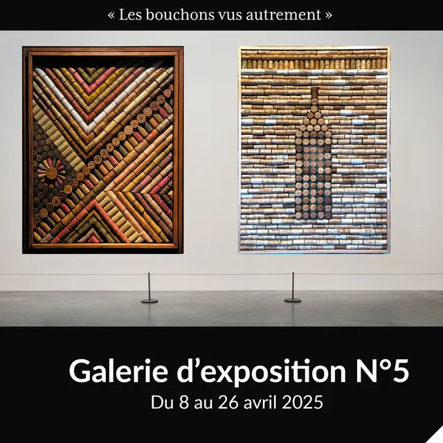Exposition Gérard Laugier_Mandelieu-La Napoule
