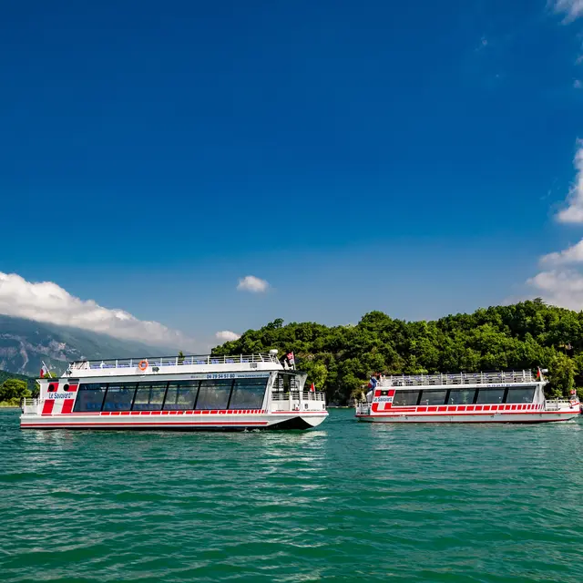 les savoyards sous Châtillon