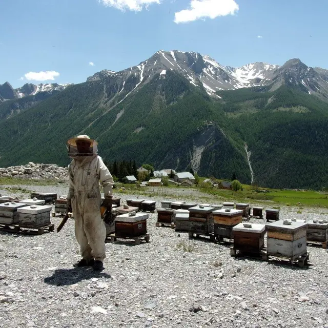 Les Ruchers de Saint-Ours