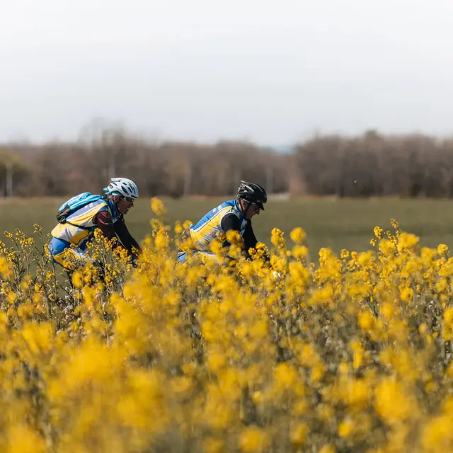 Gravel n°G2 - Tour en forêt de Mallemoisson_Digne-les-Bains