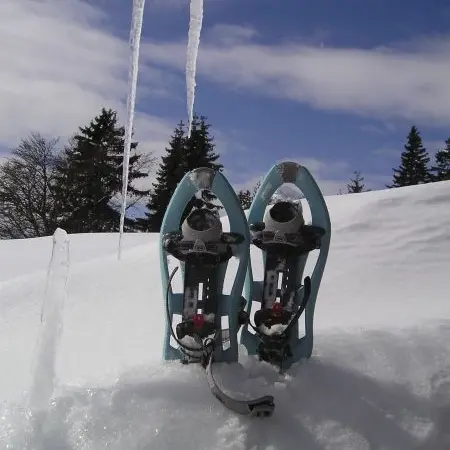 Sortie raquettes :  Le Torbiau_Combloux