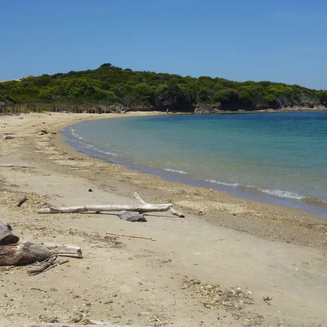 La plage du Langoustier à Porquerolles