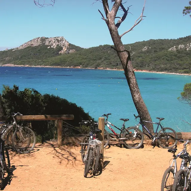 Journée sur Porquerolles à vélo au départ de La Londe les Maures