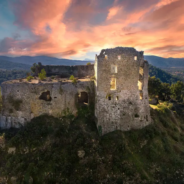 Castellas_Forcalqueiret