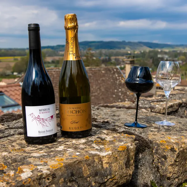 Portes ouvertes du Domaine Trichon, 30e anniversaire_Lhuis