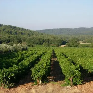 Domaine de Cambaret & Les Délices de Mémé Lollé_Rocbaron