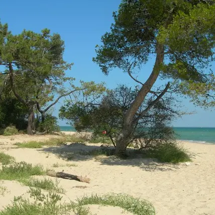 Parking vélos - Trousse Chemise_Les Portes-en-Ré