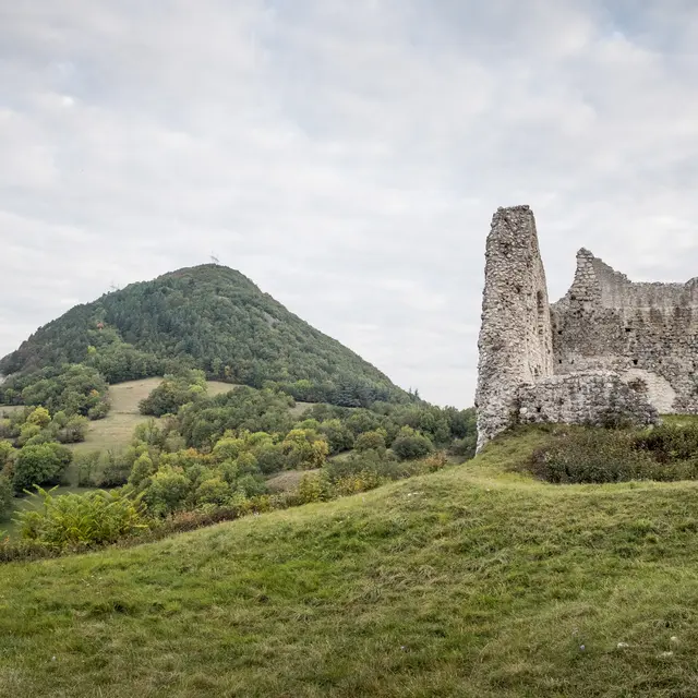 Ruines de Chaumont