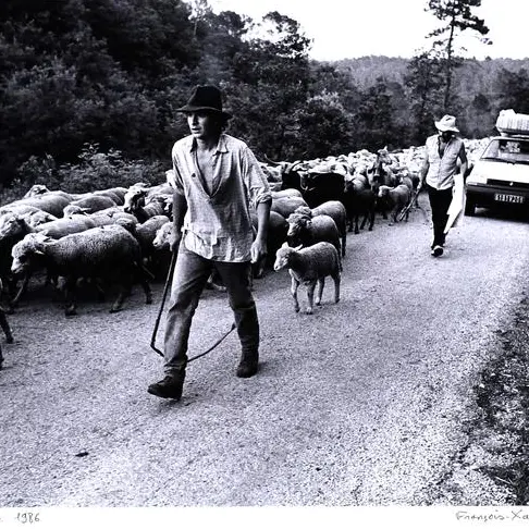 Exposition La Transhumance_Oraison