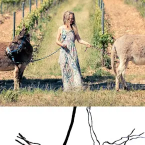 Safari d'Art et dégustation de vin au Domaine Sainte Marie_Bormes-les-Mimosas