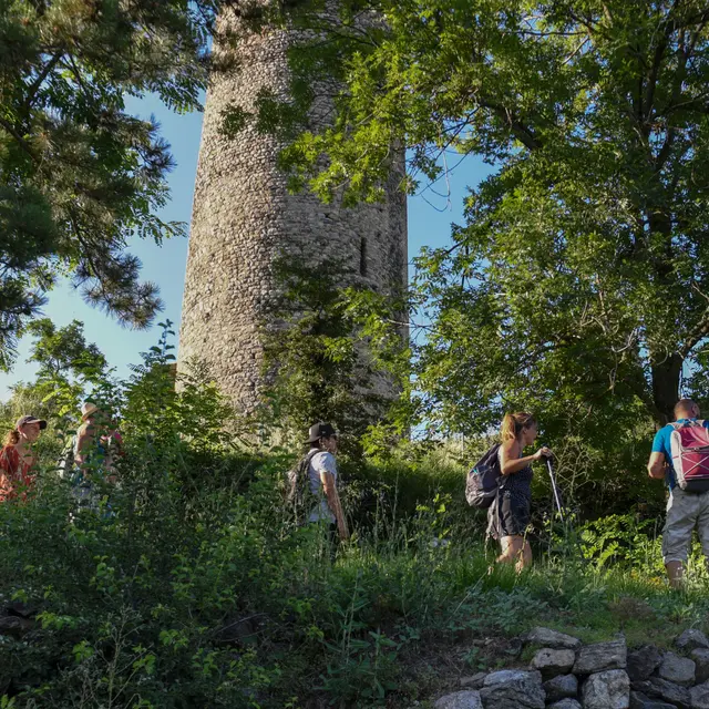Les rives de l'Ozon -Arras sur Rhône - itinéraire de randonnée pédestre