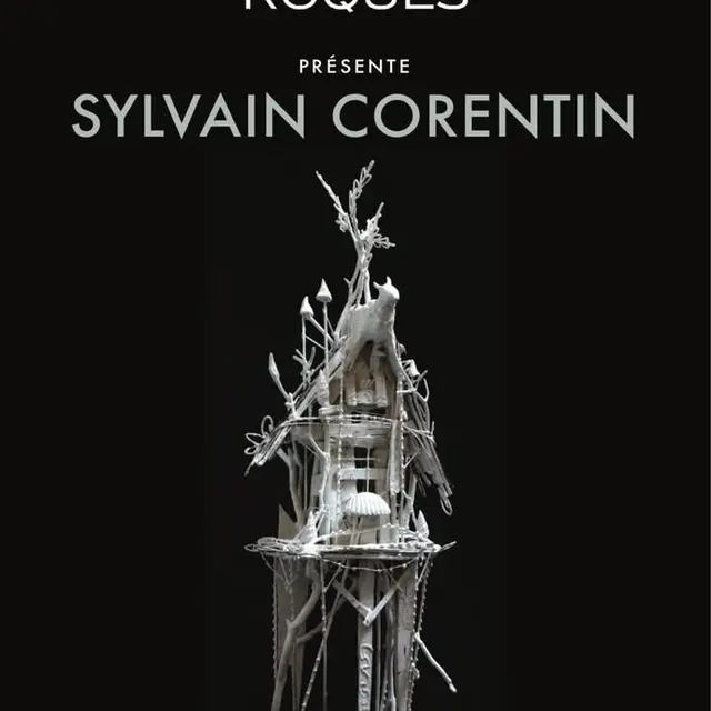 Exposition - Sylvain Corentin_Montauban