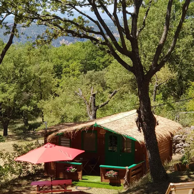 La Lyalis