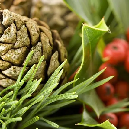 Marché de Noël du Victor_Saint-Victor sur Loire
