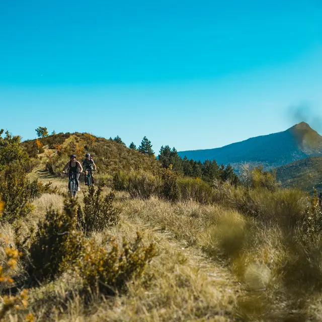 VTT la chalvet et sa forêt