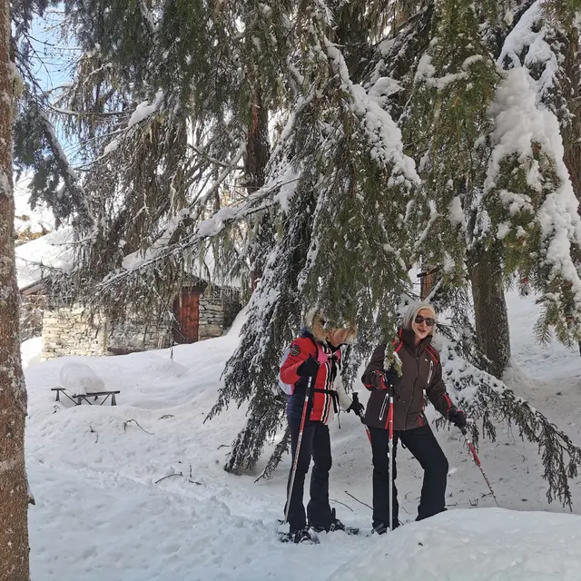 Bain de forêt