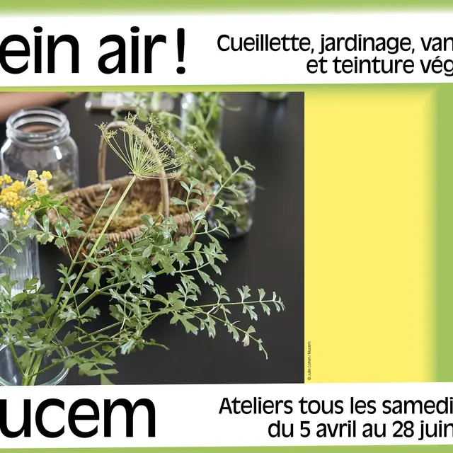 Cultiver un potager naturel en pot ou dans son jardin_Marseille