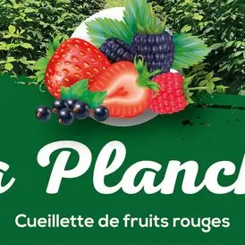 Logo La Planche