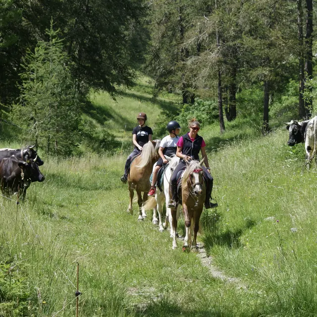 Les Ecuries de la Moute_Beuil