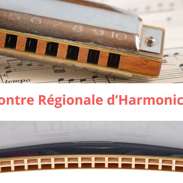 Rencontre régionale d'harmonicistes_Thônes