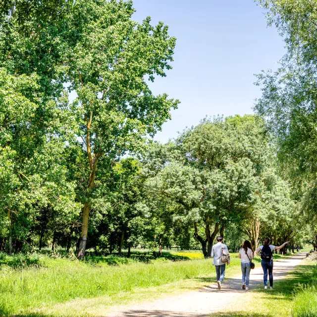 Promeneurs au parc Balzac
