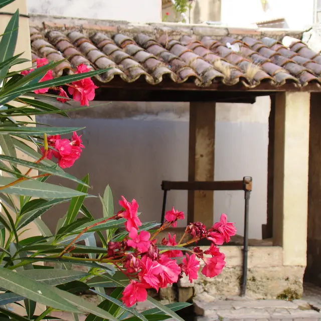 Le lavoir Saint-Jacques